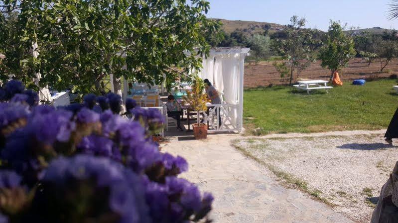 Madam Eleni Hotel Bozcaada Exterior photo